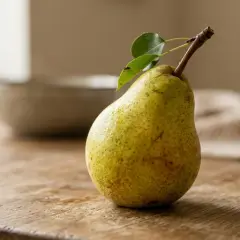 Bumbieris
