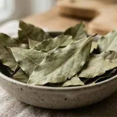 Lauru lapas